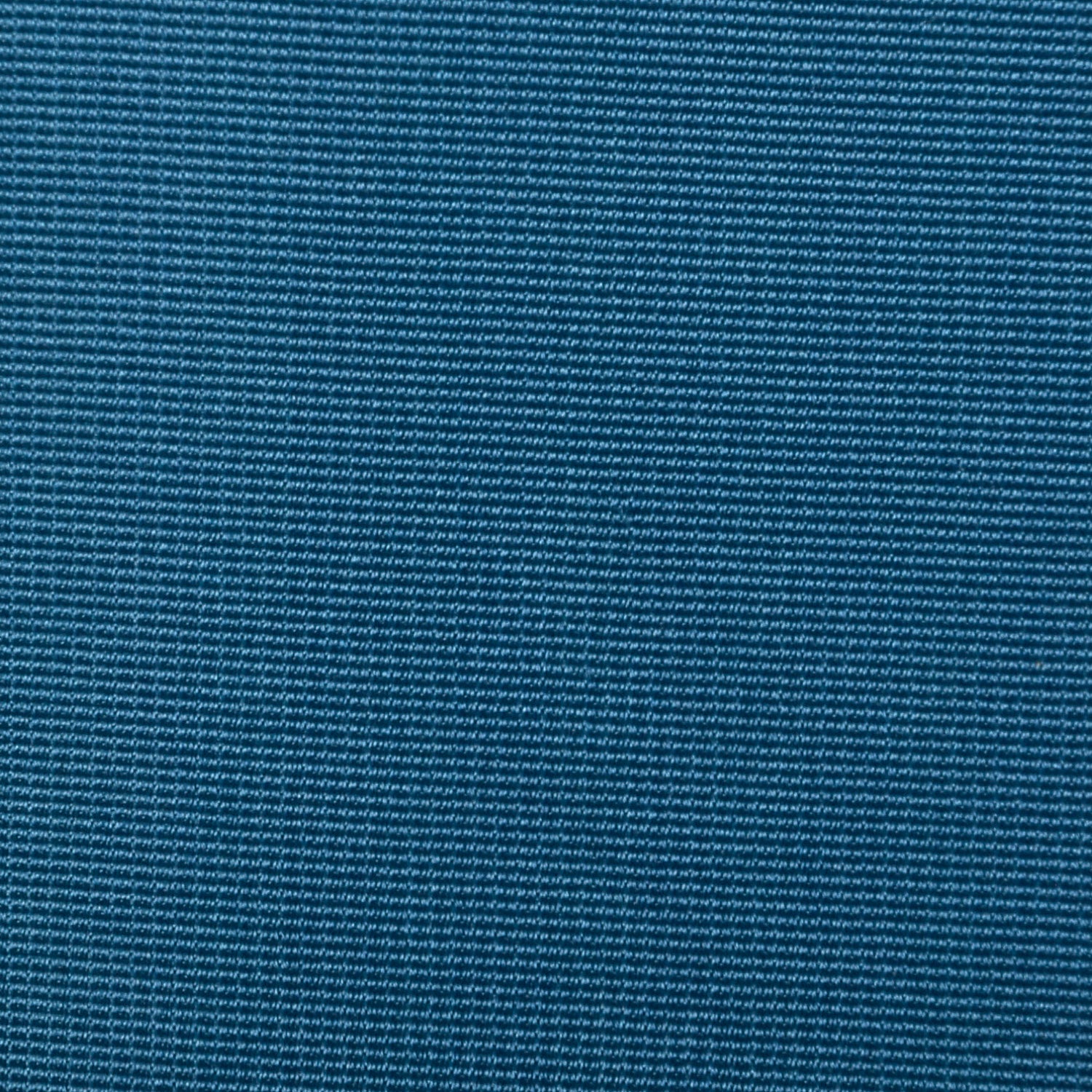 Blue Silk Opera Coat from Marshall Field & Co. 28 Shop