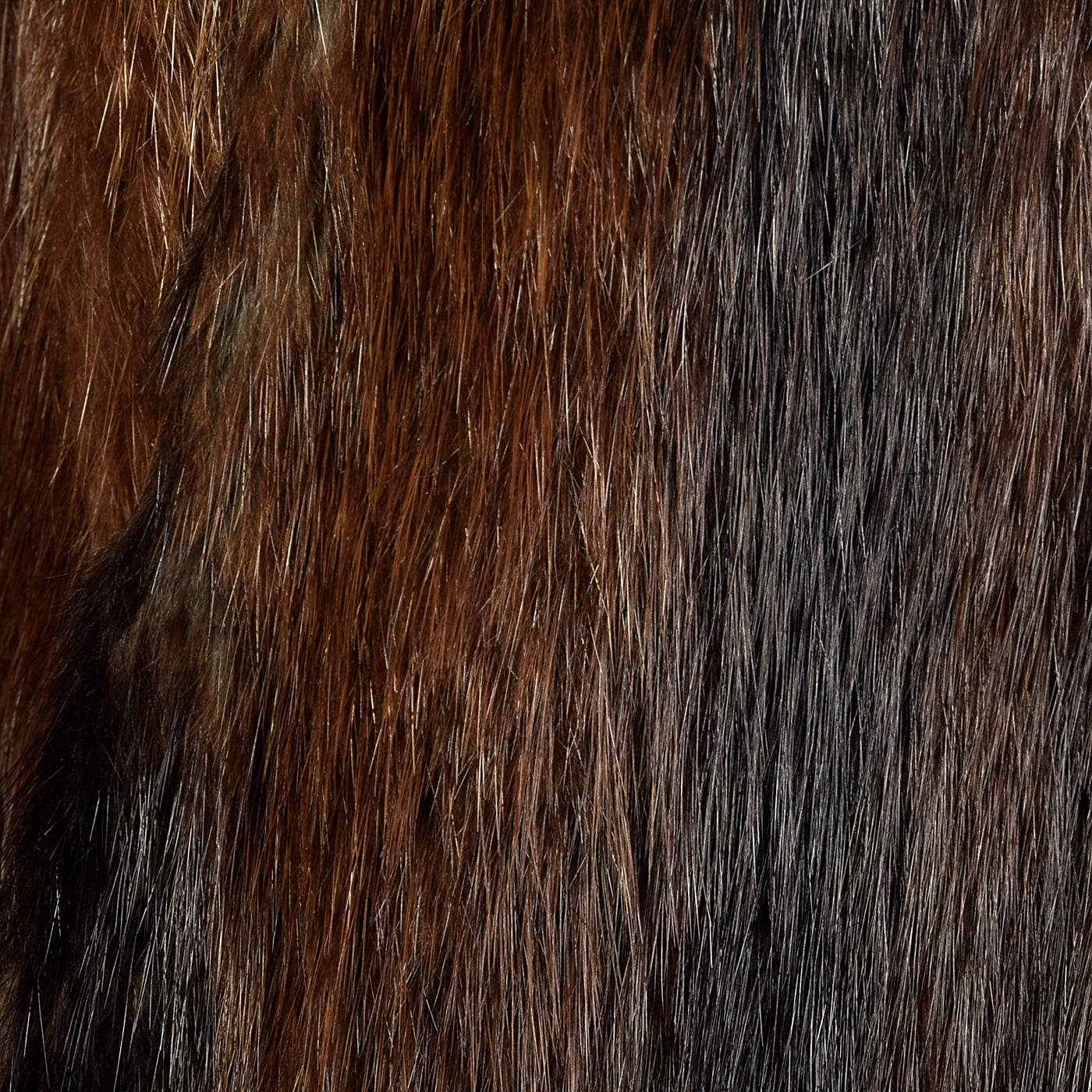 1940s Long Haired Beaver Fur Stole