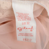 1970s Sexy Sheer Kaftan Nightgown in Pink